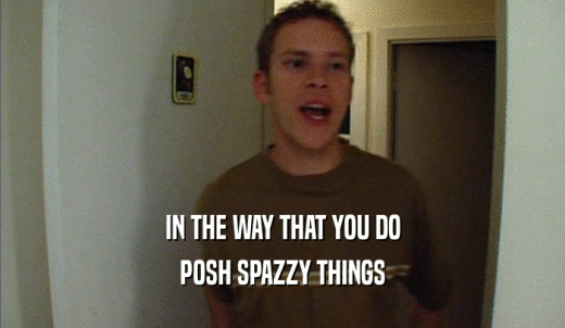 IN THE WAY THAT YOU DO POSH SPAZZY THINGS 