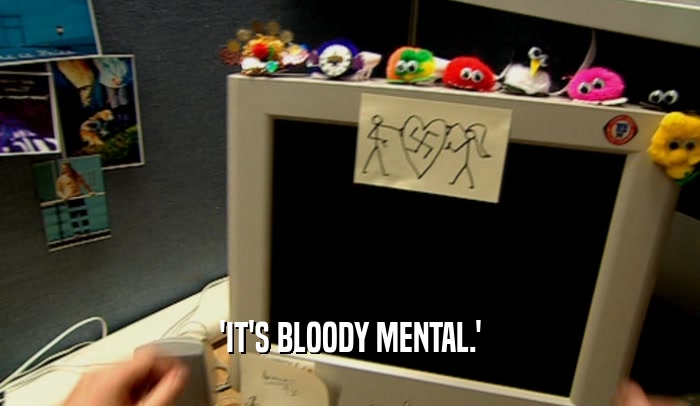 'IT'S BLOODY MENTAL.'  