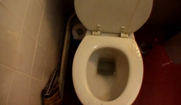 'YOUR TOILET-SEAT REGIME IS OVER.  