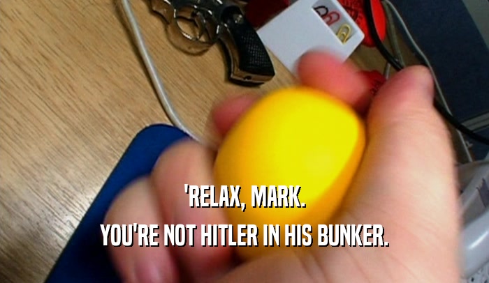 'RELAX, MARK.
 YOU'RE NOT HITLER IN HIS BUNKER.
 