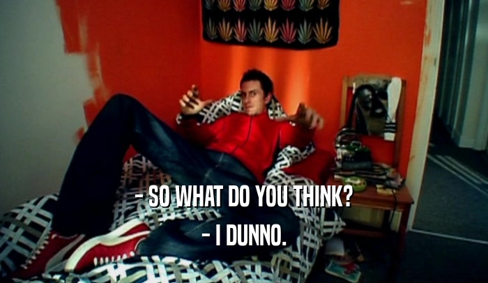 - SO WHAT DO YOU THINK? - I DUNNO. 