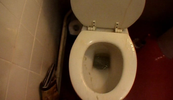 'YOUR TOILET-SEAT REGIME IS OVER.  