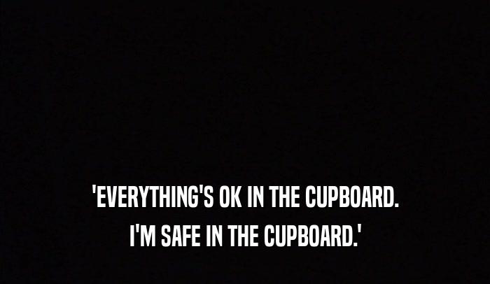 'EVERYTHING'S OK IN THE CUPBOARD.
 I'M SAFE IN THE CUPBOARD.'
 