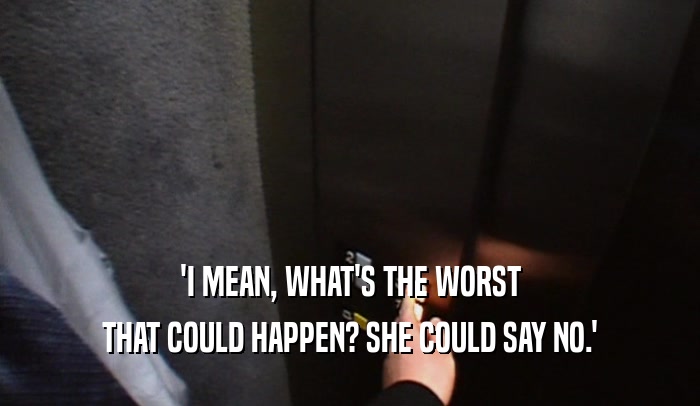 'I MEAN, WHAT'S THE WORST THAT COULD HAPPEN? SHE COULD SAY NO.' 
