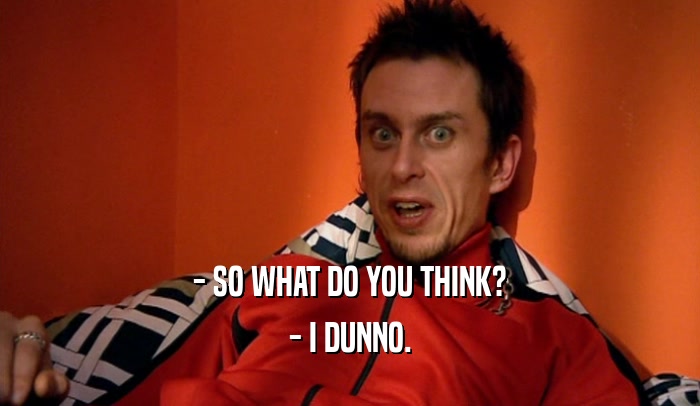- SO WHAT DO YOU THINK? - I DUNNO. 
