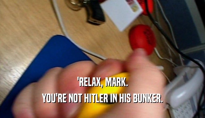 'RELAX, MARK.
 YOU'RE NOT HITLER IN HIS BUNKER.
 