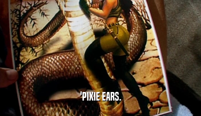 'PIXIE EARS.  