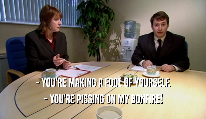- YOU'RE MAKING A FOOL OF YOURSELF. - YOU'RE PISSING ON MY BONFIRE! 