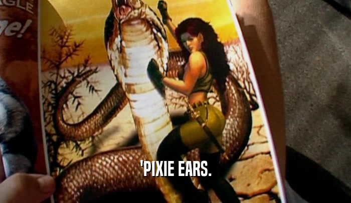 'PIXIE EARS.  
