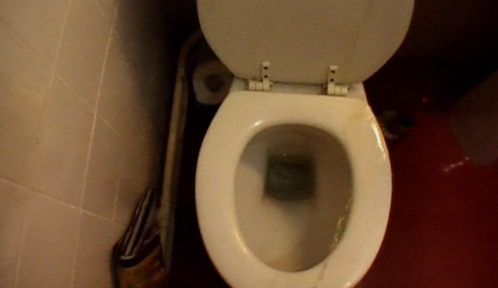 'YOUR TOILET-SEAT REGIME IS OVER.  