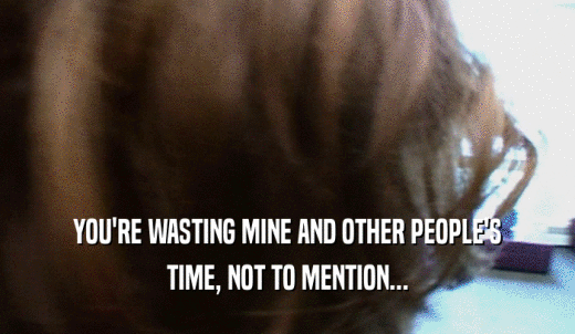 YOU'RE WASTING MINE AND OTHER PEOPLE'S TIME, NOT TO MENTION... 