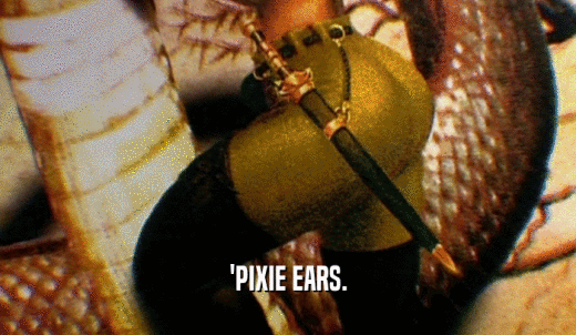 'PIXIE EARS.  
