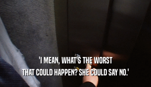 'I MEAN, WHAT'S THE WORST THAT COULD HAPPEN? SHE COULD SAY NO.' 