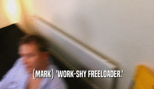 (MARK) 'WORK-SHY FREELOADER.'  