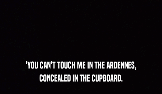'YOU CAN'T TOUCH ME IN THE ARDENNES, CONCEALED IN THE CUPBOARD. 