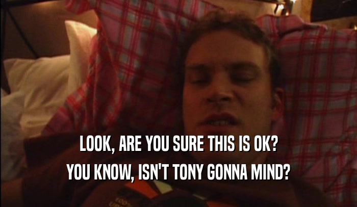 LOOK, ARE YOU SURE THIS IS OK? YOU KNOW, ISN'T TONY GONNA MIND? 