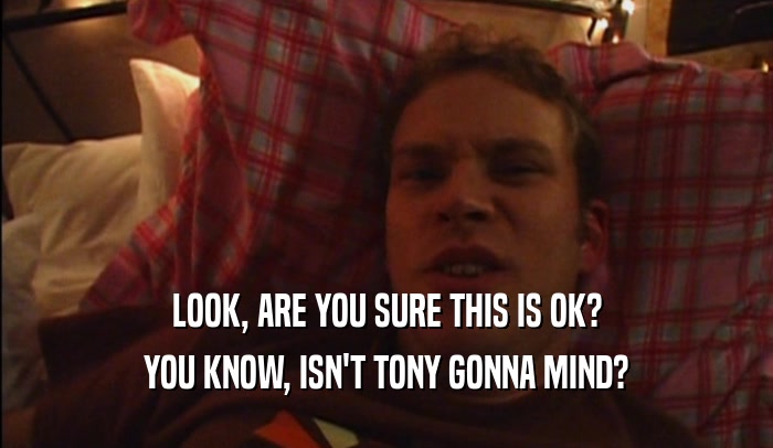 LOOK, ARE YOU SURE THIS IS OK? YOU KNOW, ISN'T TONY GONNA MIND? 
