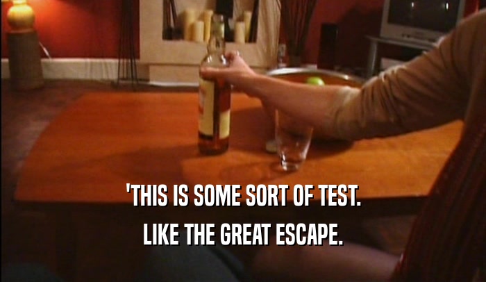 'THIS IS SOME SORT OF TEST. LIKE THE GREAT ESCAPE. 