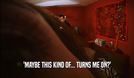 'MAYBE THIS KIND OF... TURNS ME ON?'  
