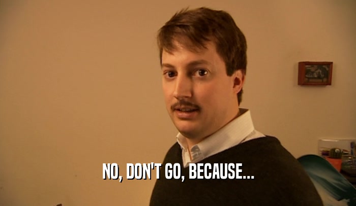 NO, DON'T GO, BECAUSE...  