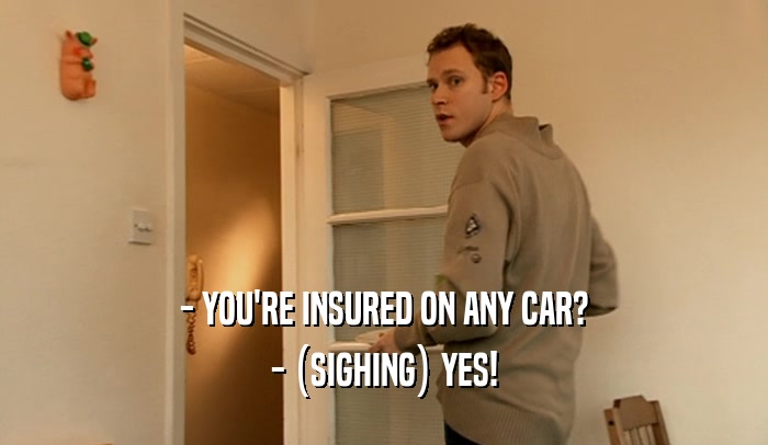 - YOU'RE INSURED ON ANY CAR? - (SIGHING) YES! 