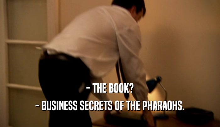 - THE BOOK? - BUSINESS SECRETS OF THE PHARAOHS. 