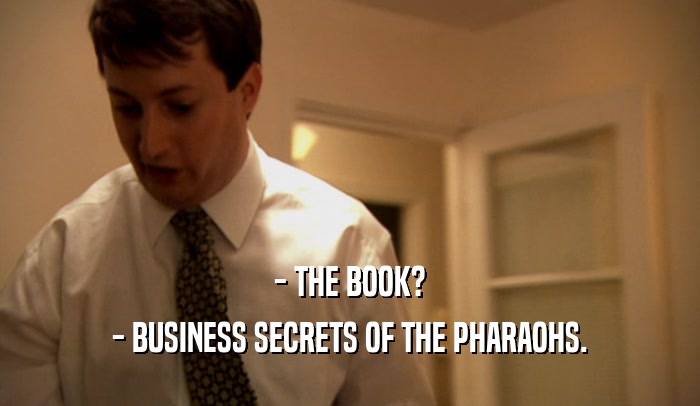 - THE BOOK? - BUSINESS SECRETS OF THE PHARAOHS. 