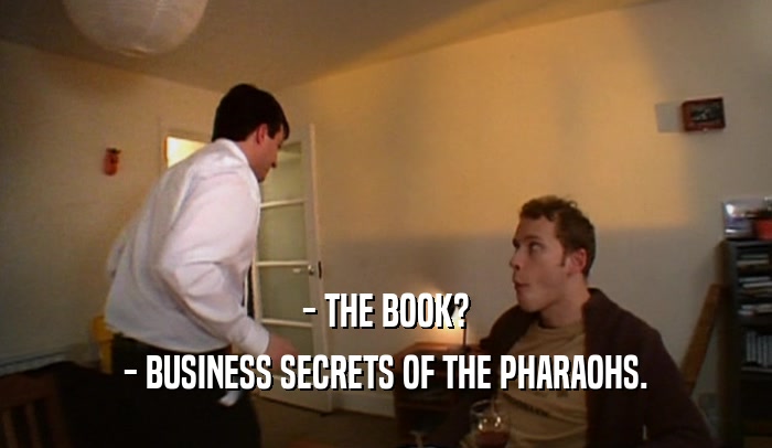 - THE BOOK? - BUSINESS SECRETS OF THE PHARAOHS. 