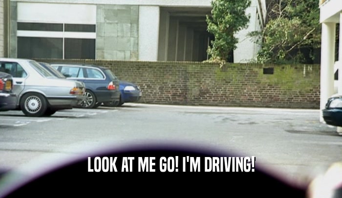 LOOK AT ME GO! I'M DRIVING!  
