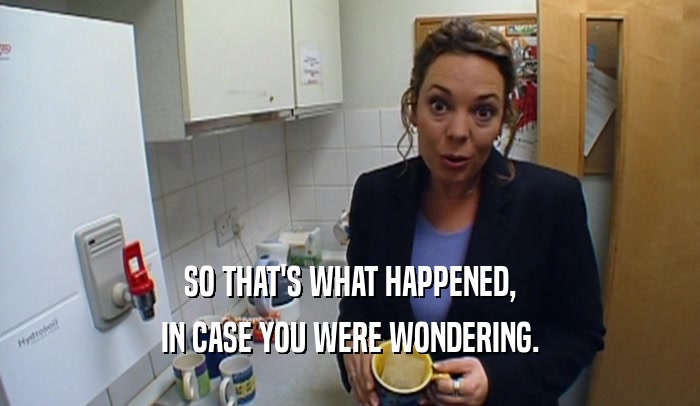 SO THAT'S WHAT HAPPENED, IN CASE YOU WERE WONDERING. 