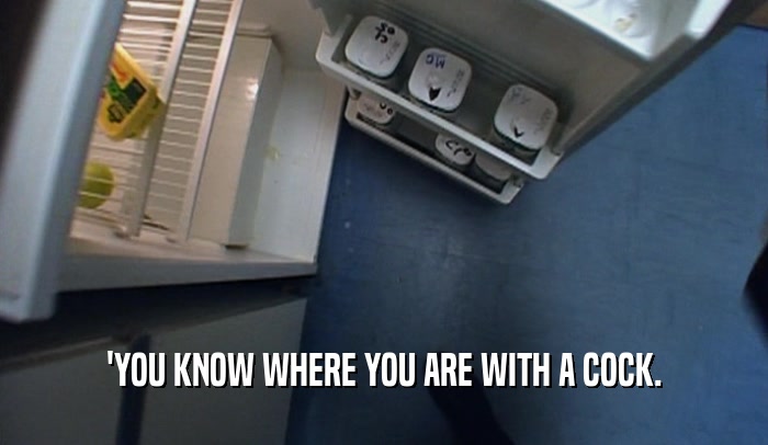 'YOU KNOW WHERE YOU ARE WITH A COCK.  