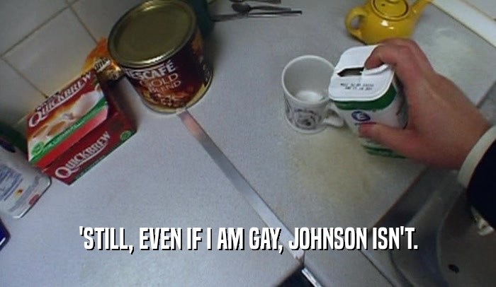 'STILL, EVEN IF I AM GAY, JOHNSON ISN'T.  