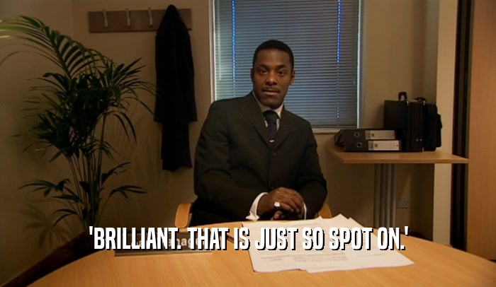 'BRILLIANT. THAT IS JUST SO SPOT ON.'  
