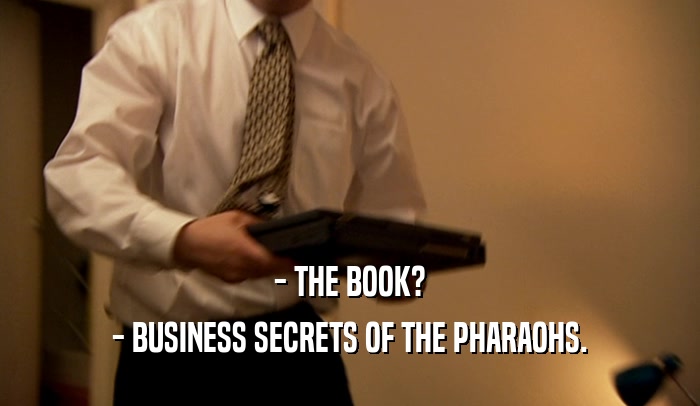 - THE BOOK? - BUSINESS SECRETS OF THE PHARAOHS. 