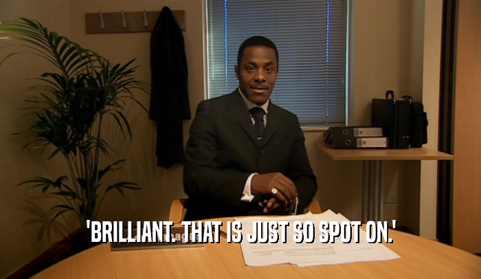 'BRILLIANT. THAT IS JUST SO SPOT ON.'  