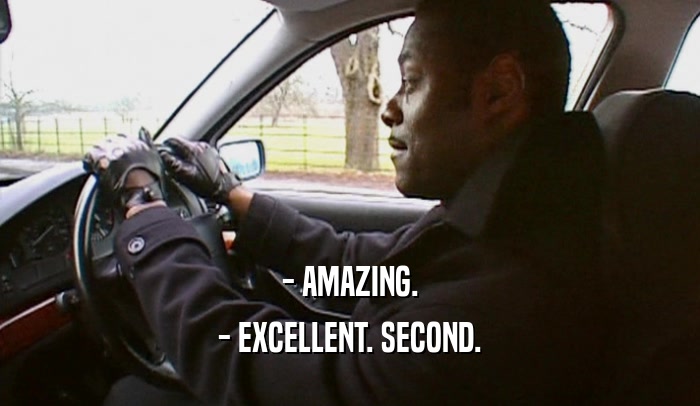 - AMAZING. - EXCELLENT. SECOND. 