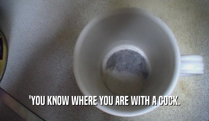 'YOU KNOW WHERE YOU ARE WITH A COCK.  