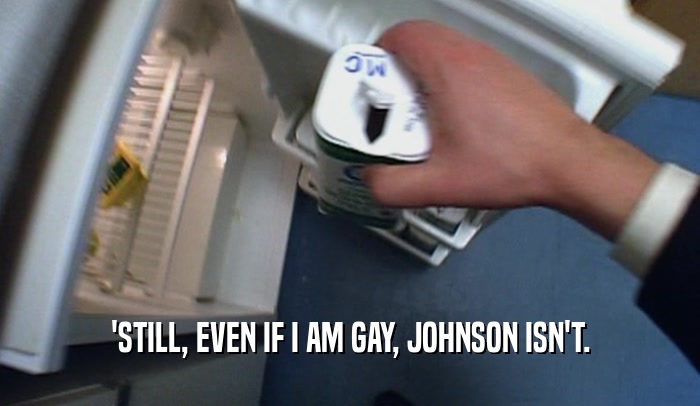 'STILL, EVEN IF I AM GAY, JOHNSON ISN'T.  