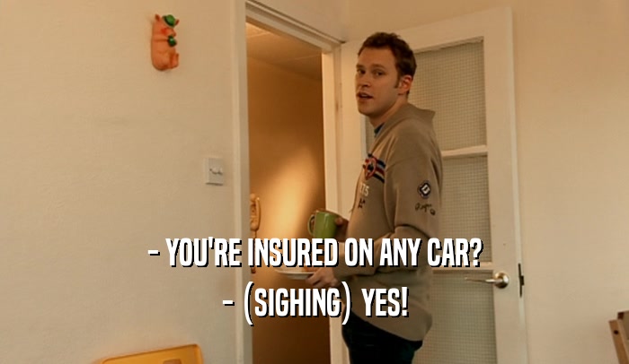 - YOU'RE INSURED ON ANY CAR? - (SIGHING) YES! 