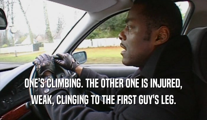 ONE'S CLIMBING. THE OTHER ONE IS INJURED, WEAK, CLINGING TO THE FIRST GUY'S LEG. 