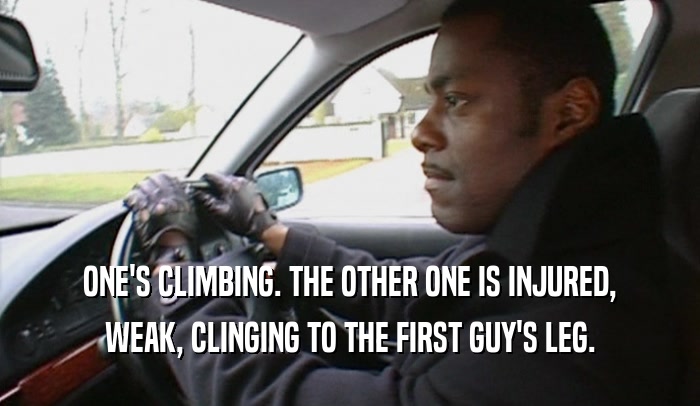 ONE'S CLIMBING. THE OTHER ONE IS INJURED, WEAK, CLINGING TO THE FIRST GUY'S LEG. 