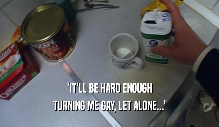 'IT'LL BE HARD ENOUGH TURNING ME GAY, LET ALONE...' 