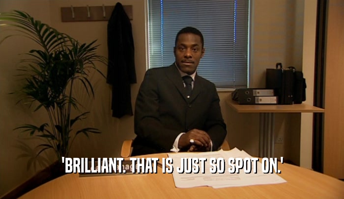 'BRILLIANT. THAT IS JUST SO SPOT ON.'  