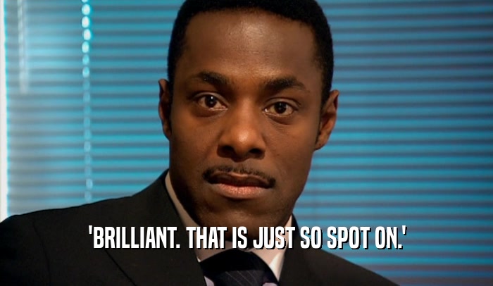 'BRILLIANT. THAT IS JUST SO SPOT ON.'  