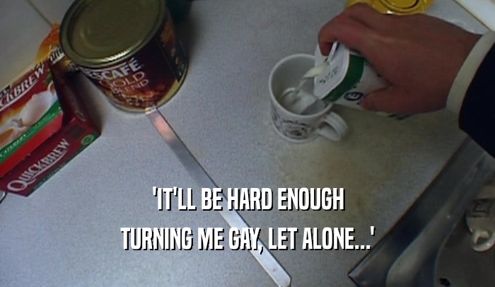 'IT'LL BE HARD ENOUGH TURNING ME GAY, LET ALONE...' 