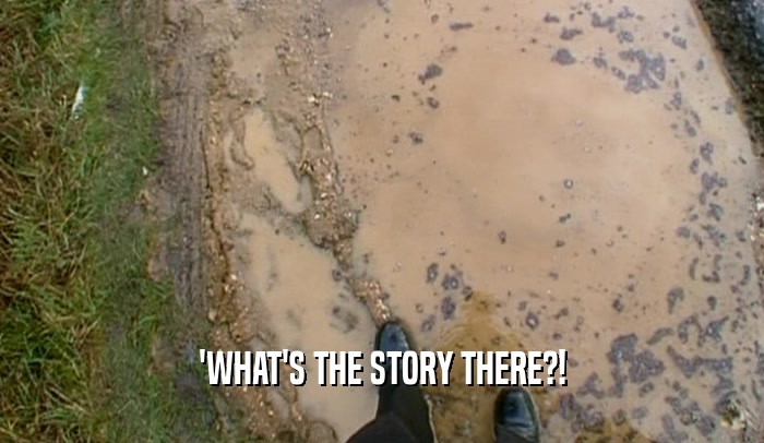 'WHAT'S THE STORY THERE?!  