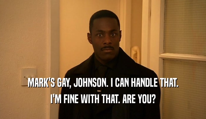 MARK'S GAY, JOHNSON. I CAN HANDLE THAT. I'M FINE WITH THAT. ARE YOU? 