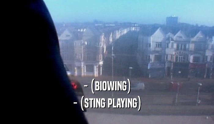 - (BIOWING) - (STING PLAYING) 
