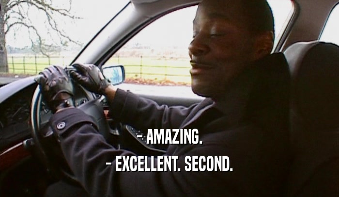 - AMAZING. - EXCELLENT. SECOND. 