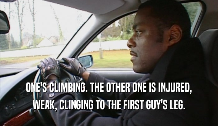 ONE'S CLIMBING. THE OTHER ONE IS INJURED, WEAK, CLINGING TO THE FIRST GUY'S LEG. 